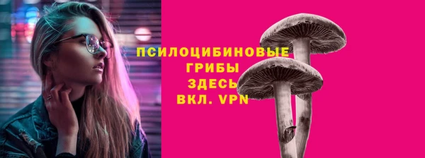 марки nbome Каменногорск